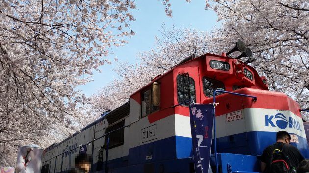 少し斜めから撮影したKORAILの車両